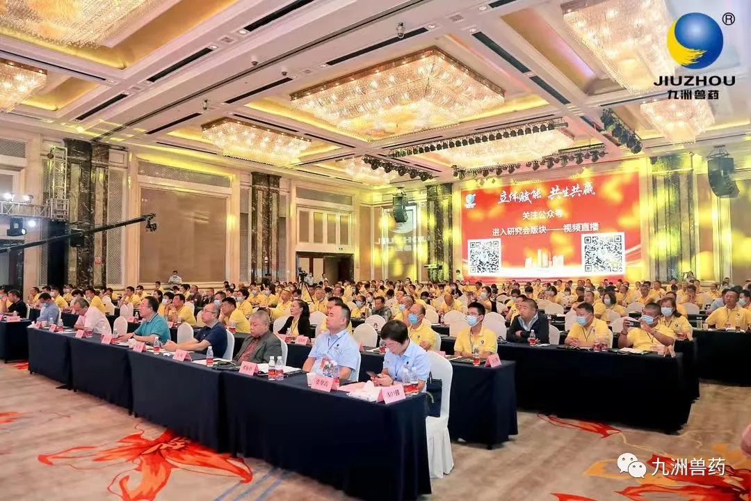 【研究会动态】立体赋能 共生共赢|九洲循环理论体系研究会第一届第三次理事大会（赋能篇）